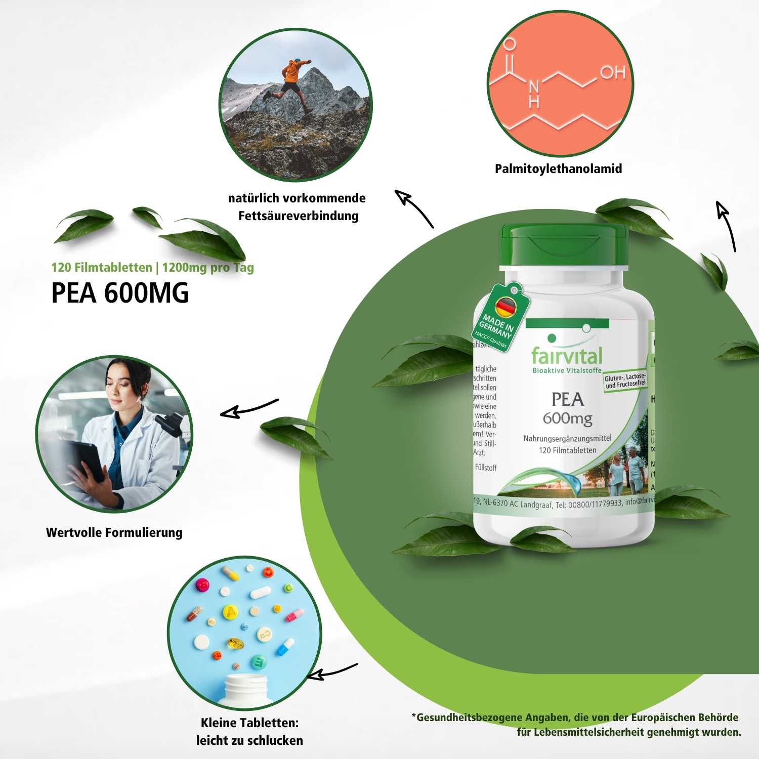 PEA 600mg - 120 Filmtabletten - vegan | Fairvital