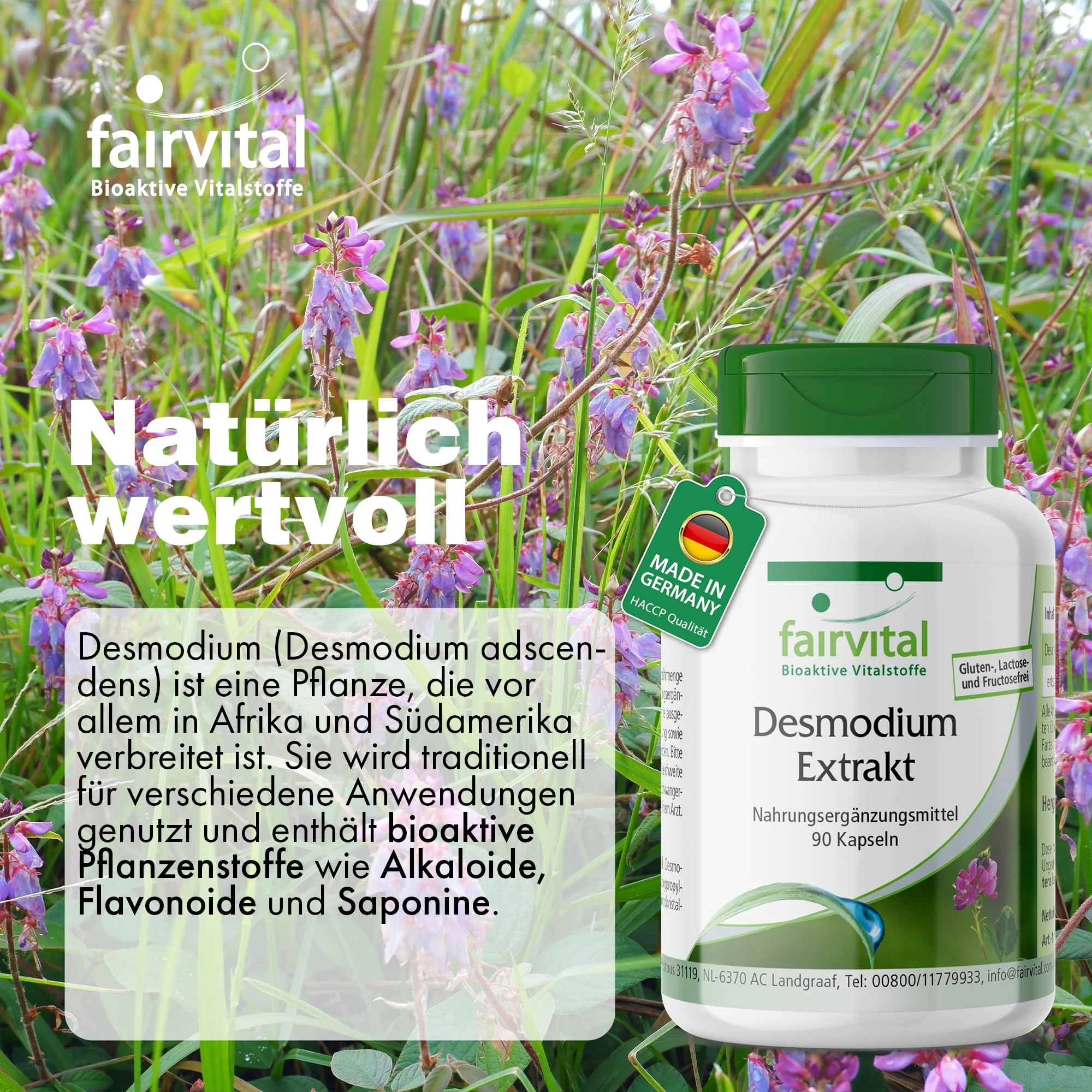 Desmodium Extrakt - 90 Kapseln - 7-fach konzentriert - Hochdosiert und Vegan | Fairvital