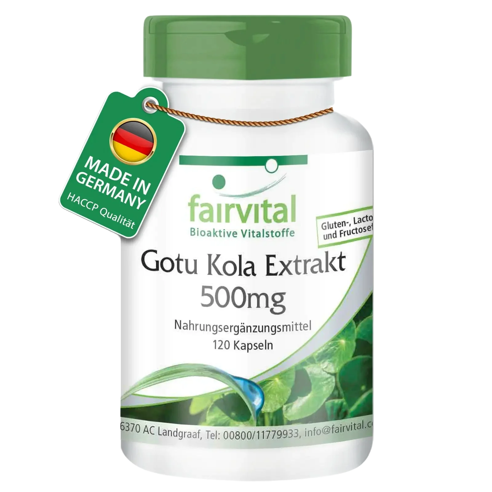 Gotu Kola Extrakt 500mg - 120 Kapseln - mit Vitamin C, Zink - für Immunsystem, Zellschutz uvm. - Vegan | Fairvital Gotu Kola Extrakt 500mg - 120 Kapseln - mit Vitamin C, Zink - für Immunsystem, Zellschutz uvm. - Vegan | Fairvital
