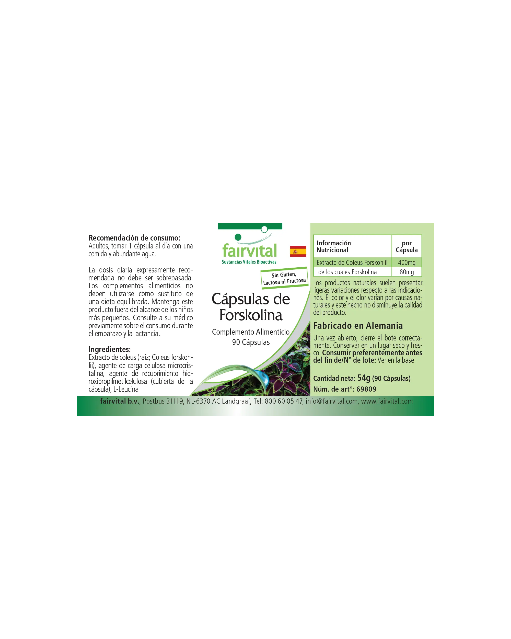 Capsule di Forskolina - 90 Capsule - Coleus Forskohlii - Vegano | Fairvital