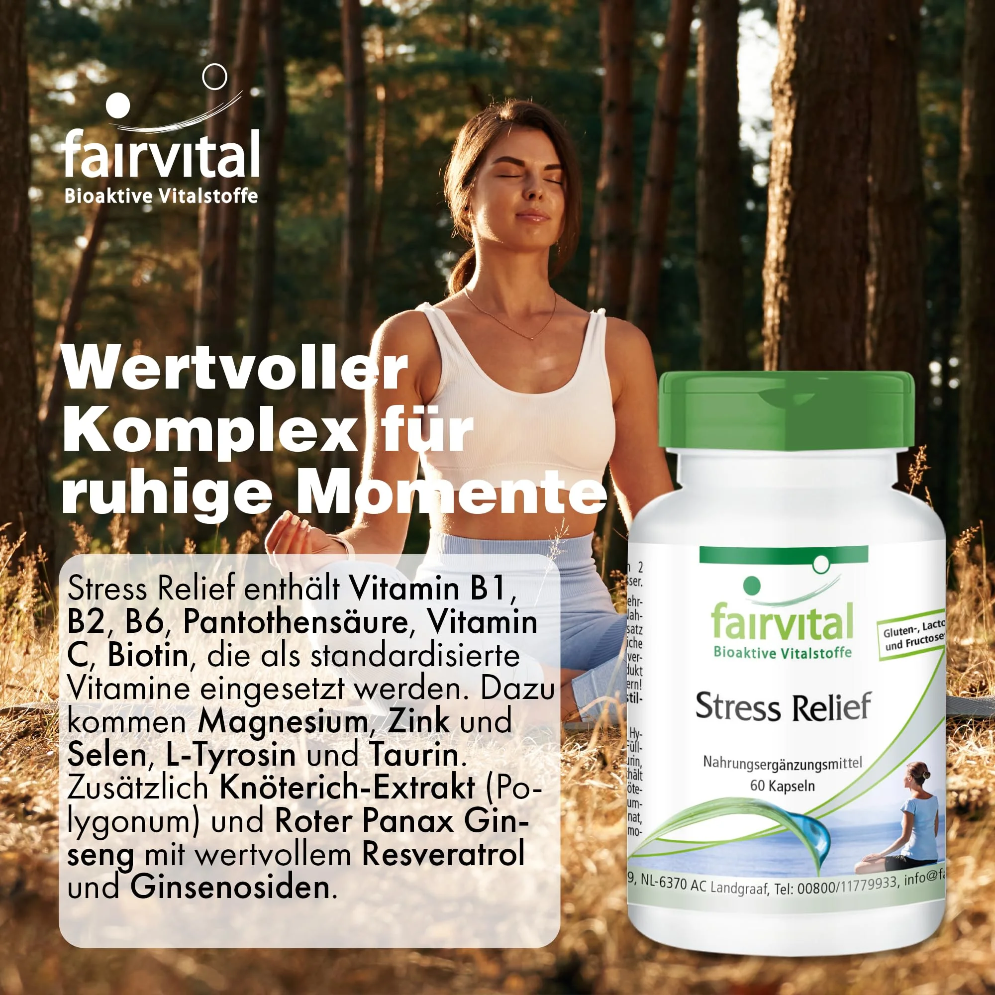 Stress Relief -  60 Kapseln - mit B-Vitaminen; Vitamin C; Zink uvm. - für Nervensystem; Zellschutz uvm. | Fairvital
