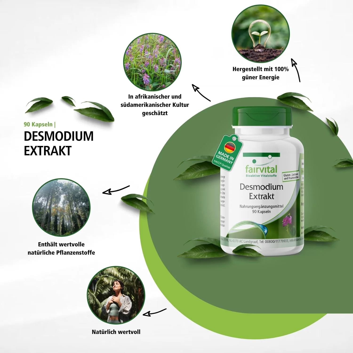 Desmodium Extrakt - 90 Kapseln - 7-fach konzentriert - Hochdosiert und Vegan | Fairvital