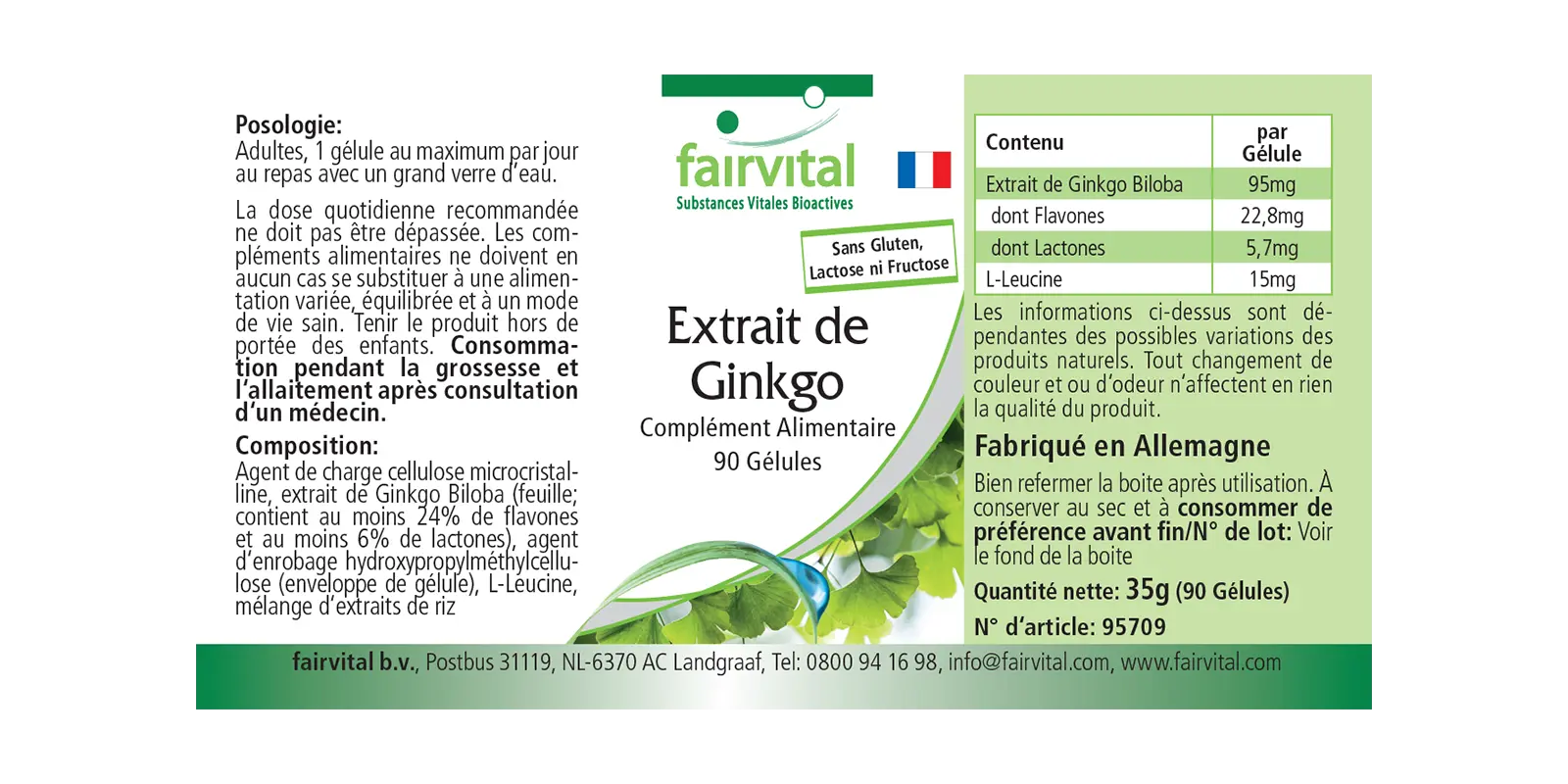 Estratto di Ginkgo 100mg - 90 capsule Estratto di Ginkgo 100mg - 90 capsule