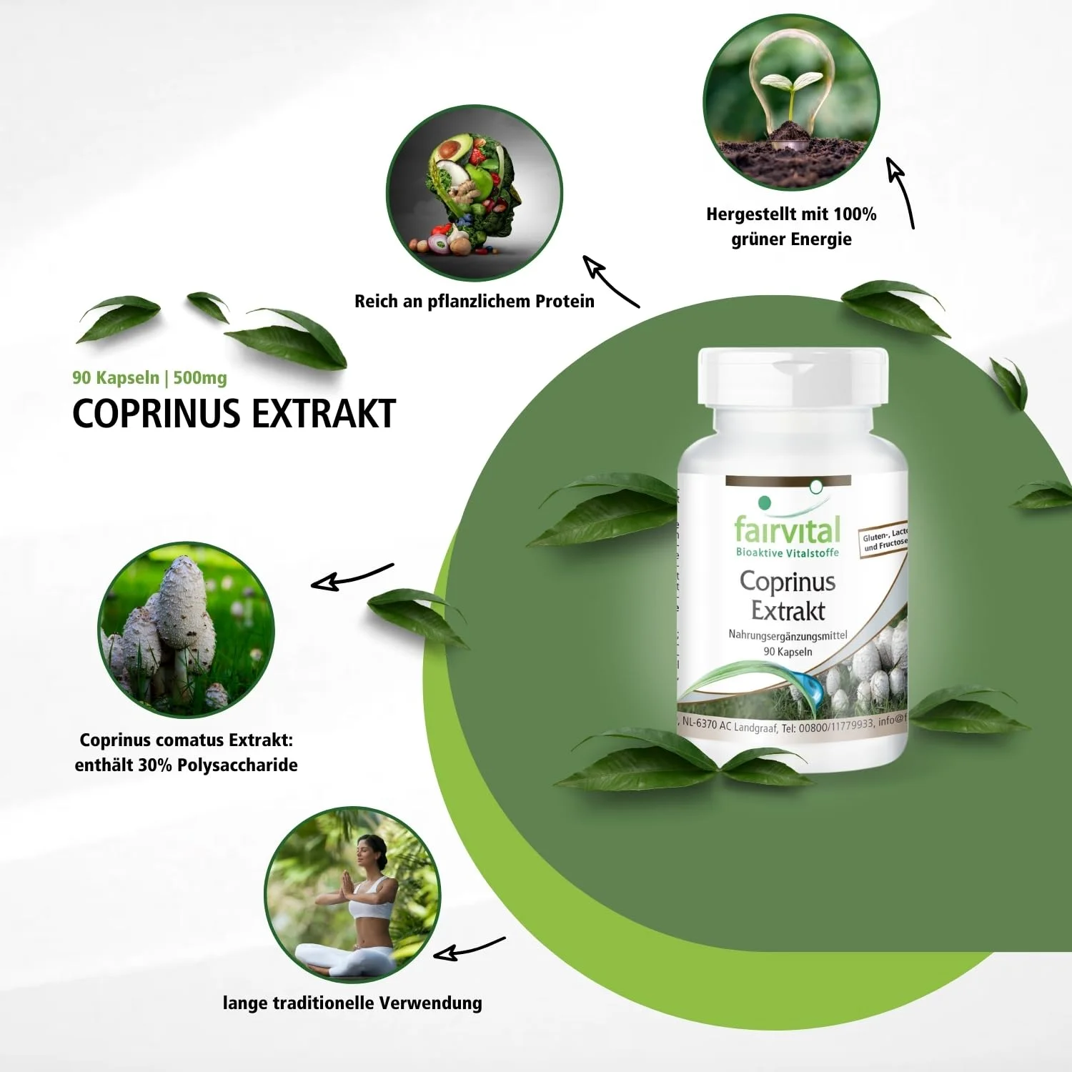 Coprinus Extrakt - 90 Kapseln - schluckfreundlich - coprinus comatus (Spargelpilz) - 30% Polysaccharide | Fairvital