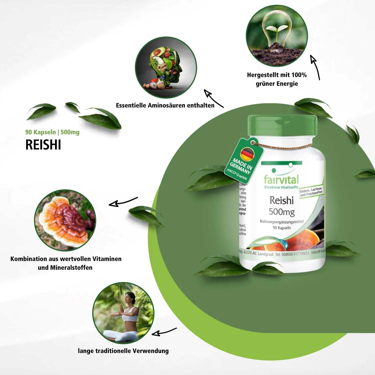 Reishi 500mg - 90 Kapseln - Schluckfreundlich - Ganoderma lucidum Pilzpulver - Hochdosiert und Vegan | Fairvital