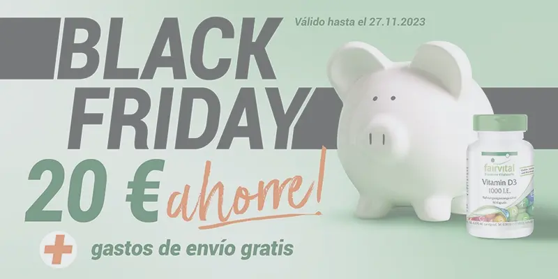 black-friday-finish-page-es