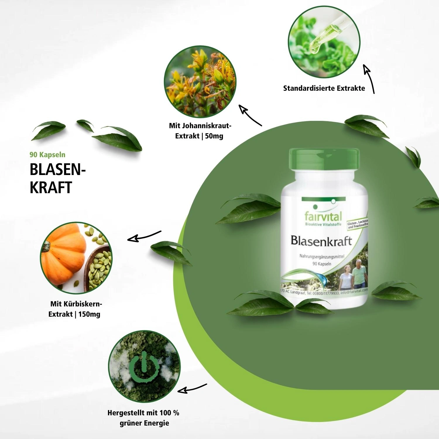 Blasenkraft  - 90 Kapseln - mit Kürbiskern; Goldrutenkraut; Vitamin E uvm. - Zellschutz - Vegan | Fairvital