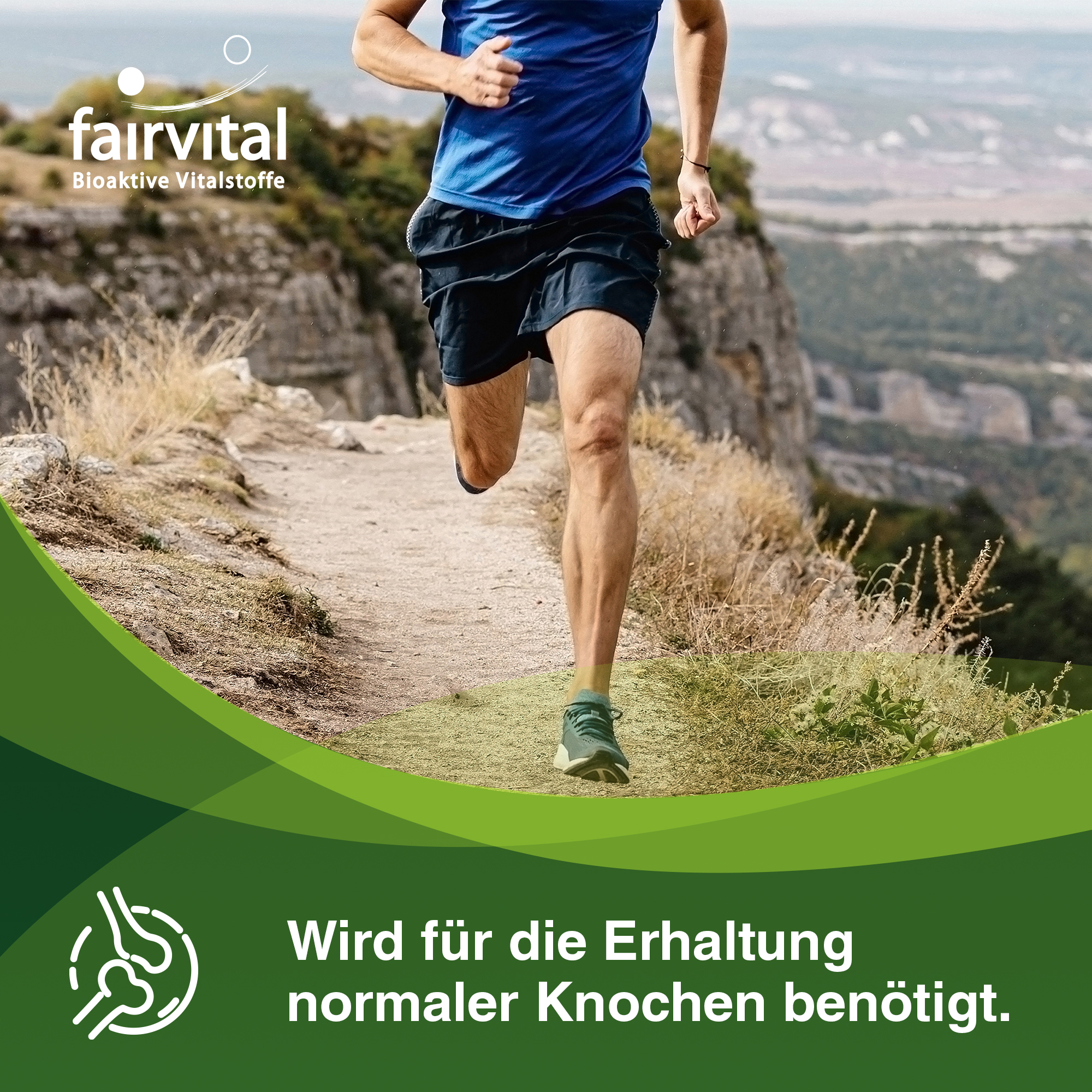 Calcium-Magnesium Citrat - 180 Kapseln - für Knochen, Zähne, Muskeln, Elektrolytgleichgewicht uvm. | Fairvital Calcium-Magnesium Citrat - 180 Kapseln - für Knochen, Zähne, Muskeln, Elektrolytgleichgewicht uvm. | Fairvital