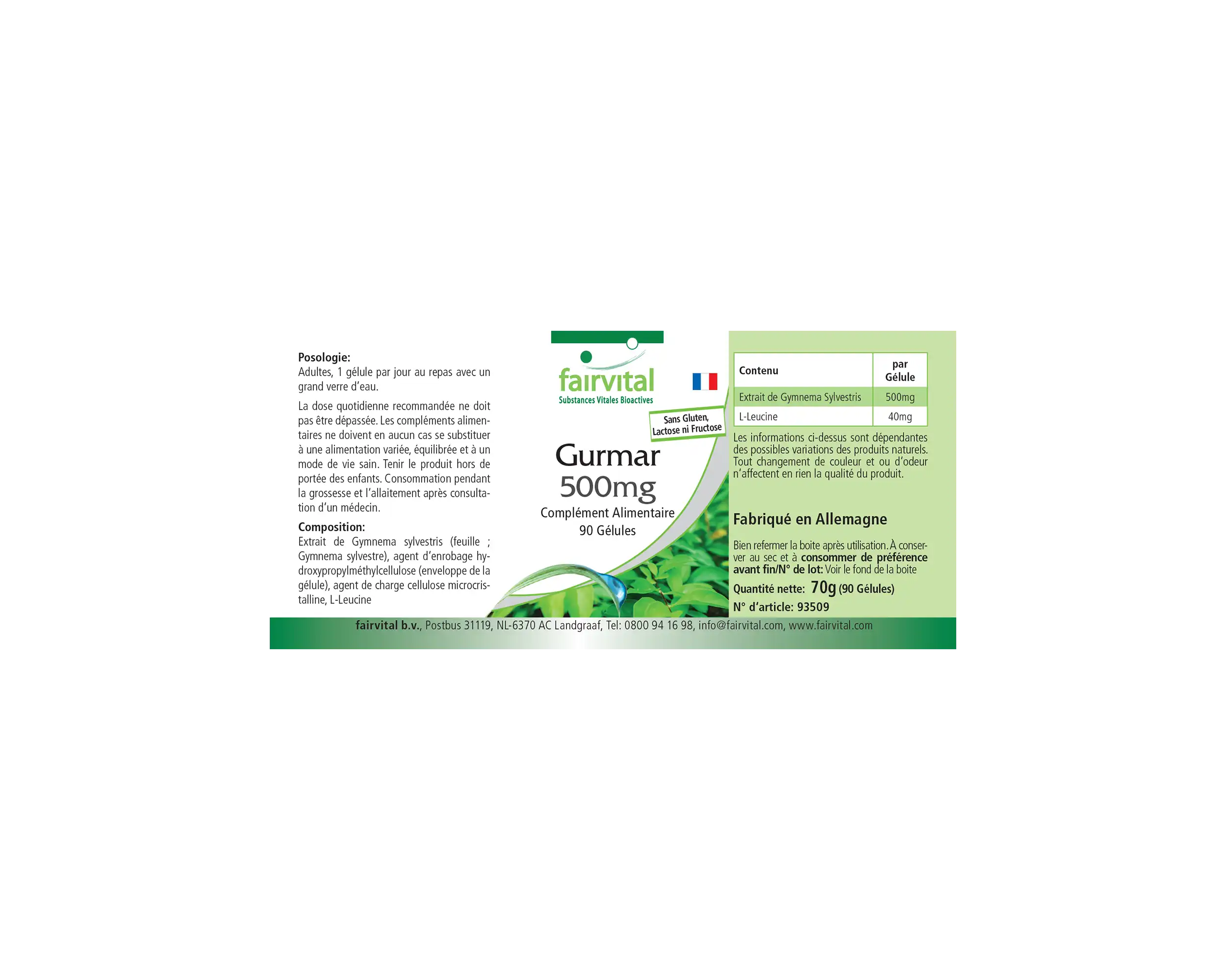Gurmar 500mg – Gymnema Sylvestre – 90 Cápsulas – Vegano | Fairvital