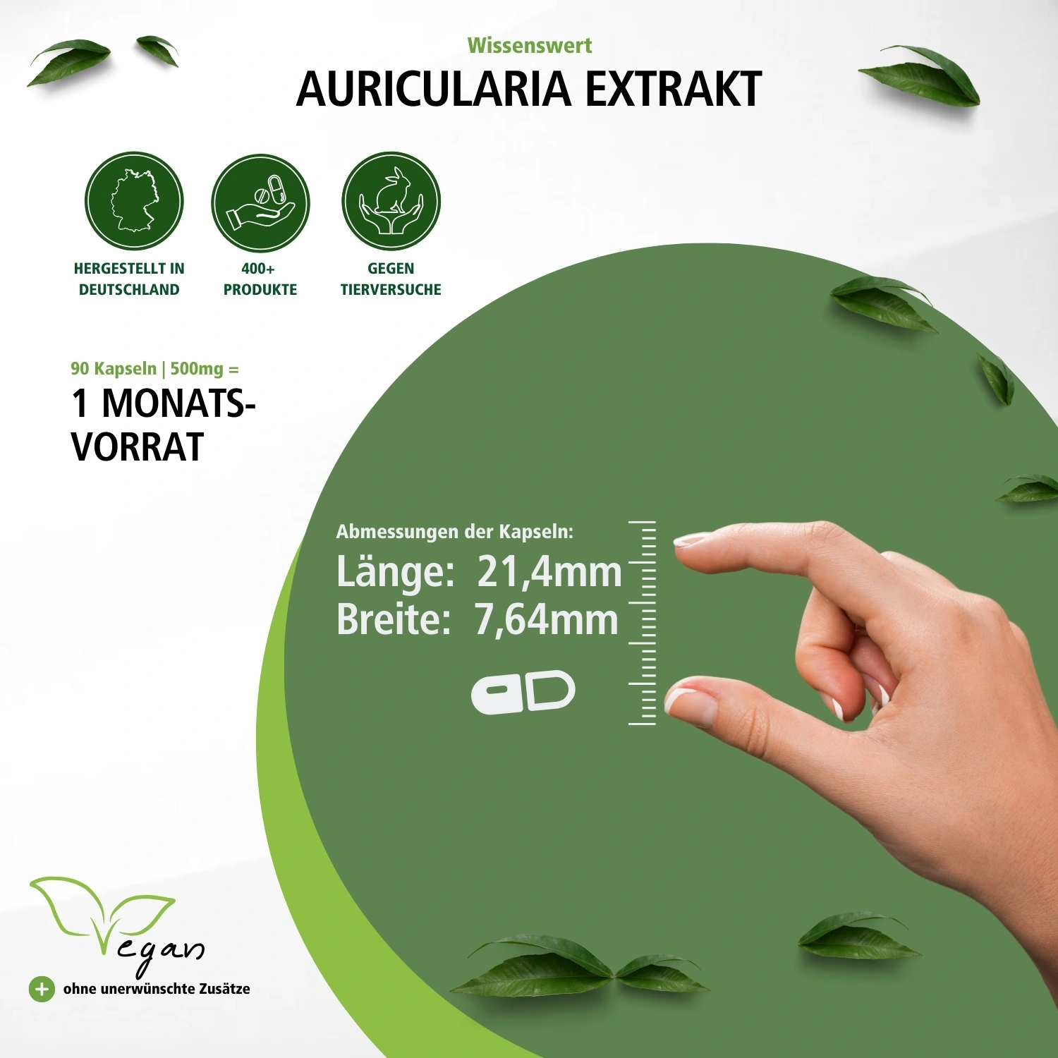 Auricularia Extrakt - 90 Kapseln - Schluckfreundlich - Judasohr - 30% Polysaccharide - Hochdosiert und Vegan | Fairvital