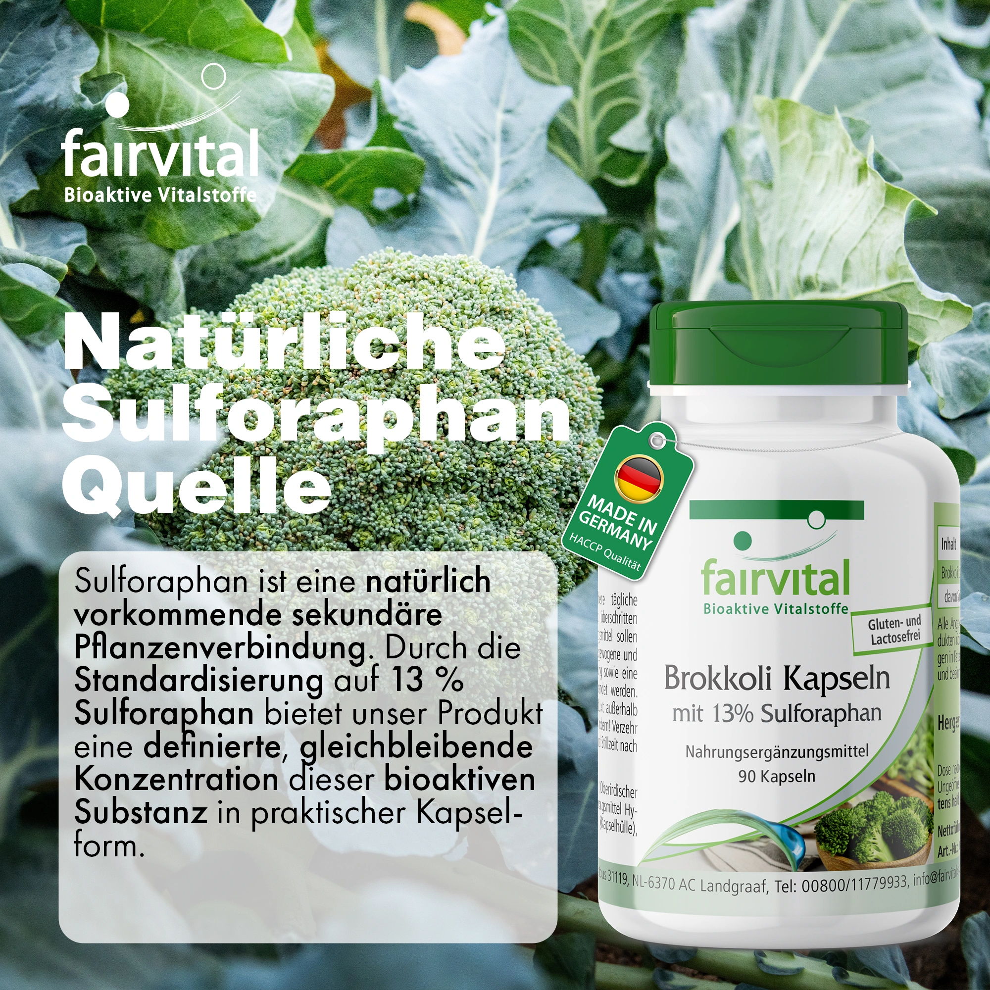 Brokkoli Kapseln mit 13% Sulforaphan - 90 Kapseln | Fairvital