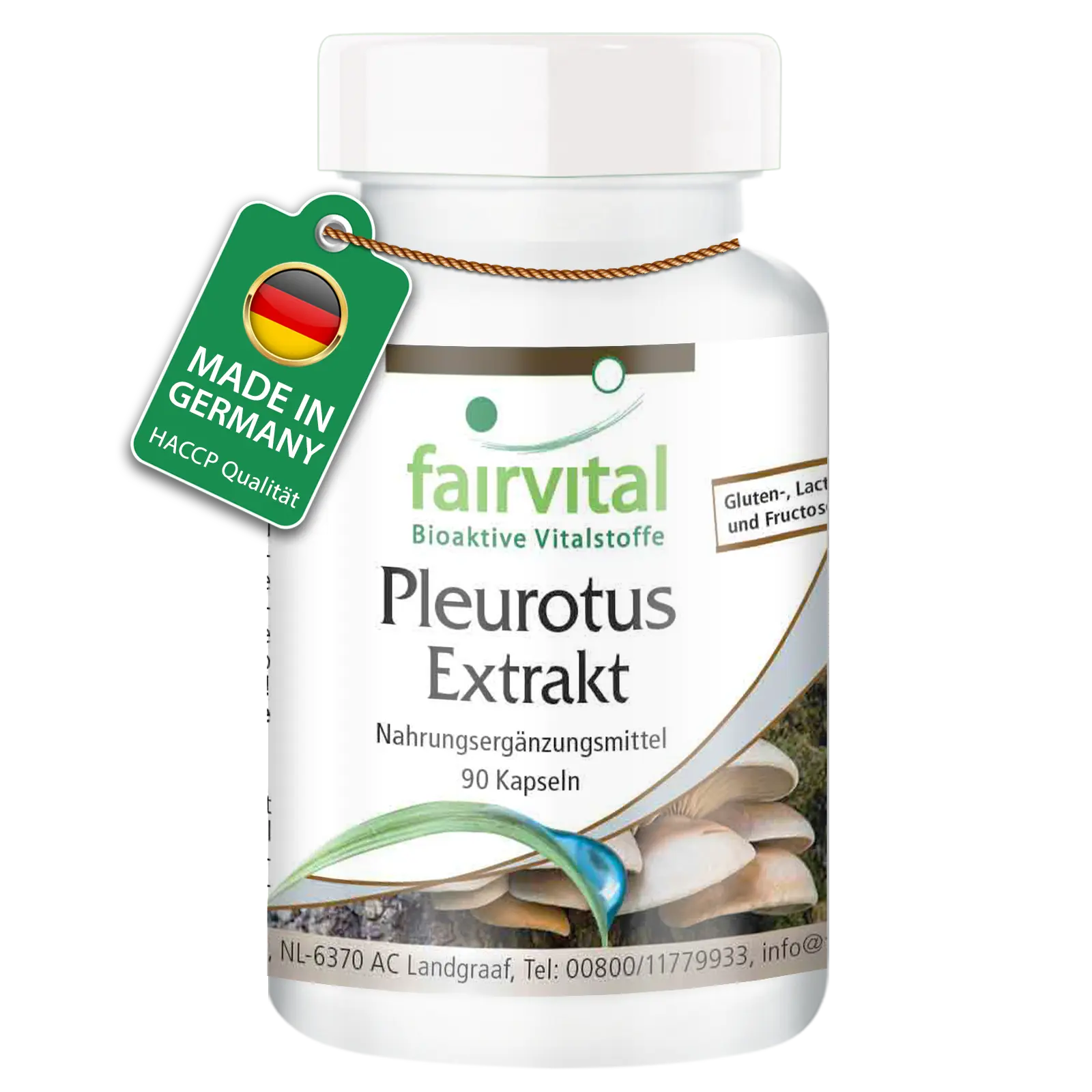 Pleurotus Extrakt - 90 Kapseln - Pleurotus ostreatus (Austernseitling) - 30% Polysaccharide - Vegan | Fairvital Pleurotus Extrakt - 90 Kapseln - Pleurotus ostreatus (Austernseitling) - 30% Polysaccharide - Vegan | Fairvital