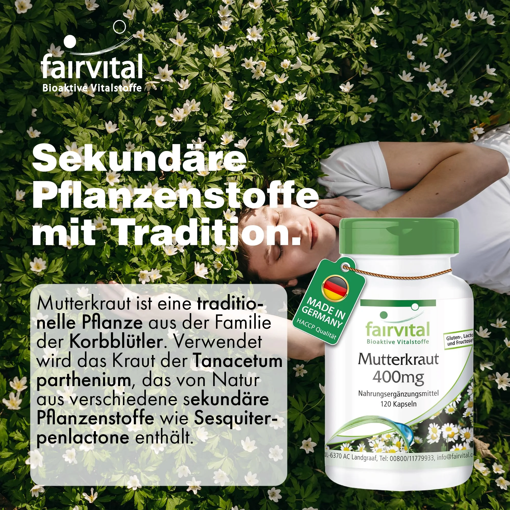Mutterkraut 400mg - 120 Kapseln - Tanacetum parthenium - Feverfew - Vegan | Fairvital