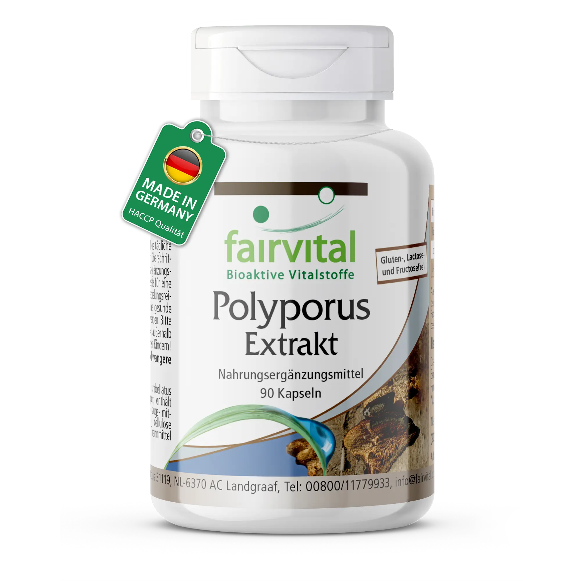 Polyporus Extrakt 500mg - 90 Kapseln - Schluckfreundlich - Polyporus umbellatus - Vegan | Fairvital