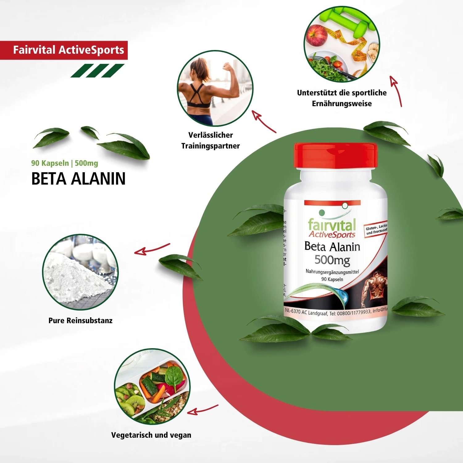 Beta Alanin 500mg - 90 Kapseln - Schluckfreundlich - Beliebte Aminosäure - Hochdosiert und Vegan | Fairvital