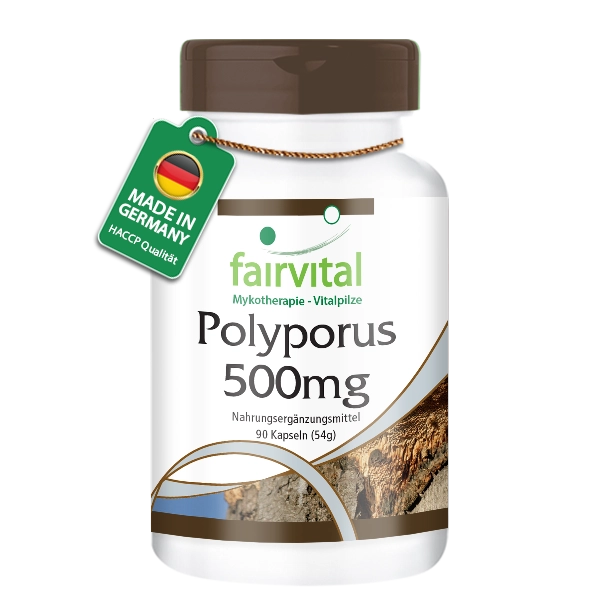 Polyporus 500mg - 90 Kapseln - Polyporus umbellatus - 30% Polysaccharide - Hochdosiert und Vegan | Fairvital