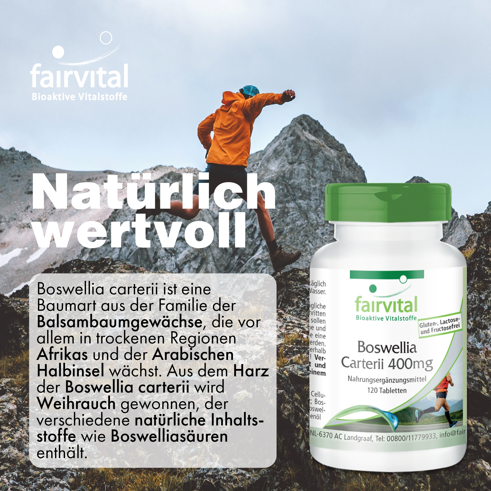 Boswellia Carterii 400mg - 120 Tabletten - Afrikanischer Weihrauch-Extrakt - Hochdosiert | Fairvital