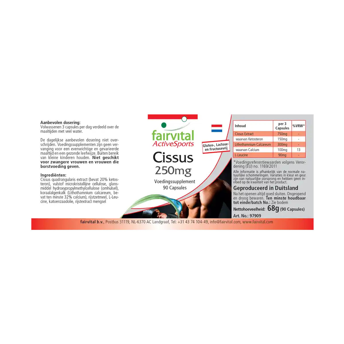 Cissus extract 250mg - 90 Capsules