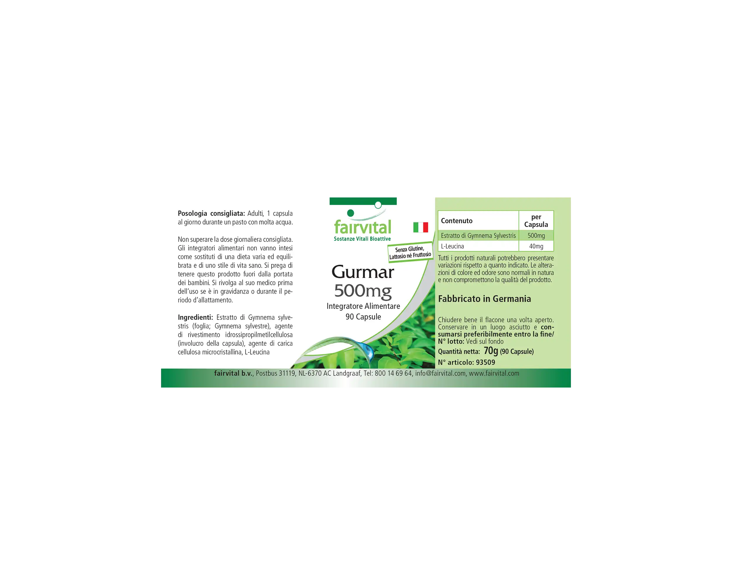 Gurmar 500mg – Gymnema Sylvestre – 90 Cápsulas – Vegano | Fairvital