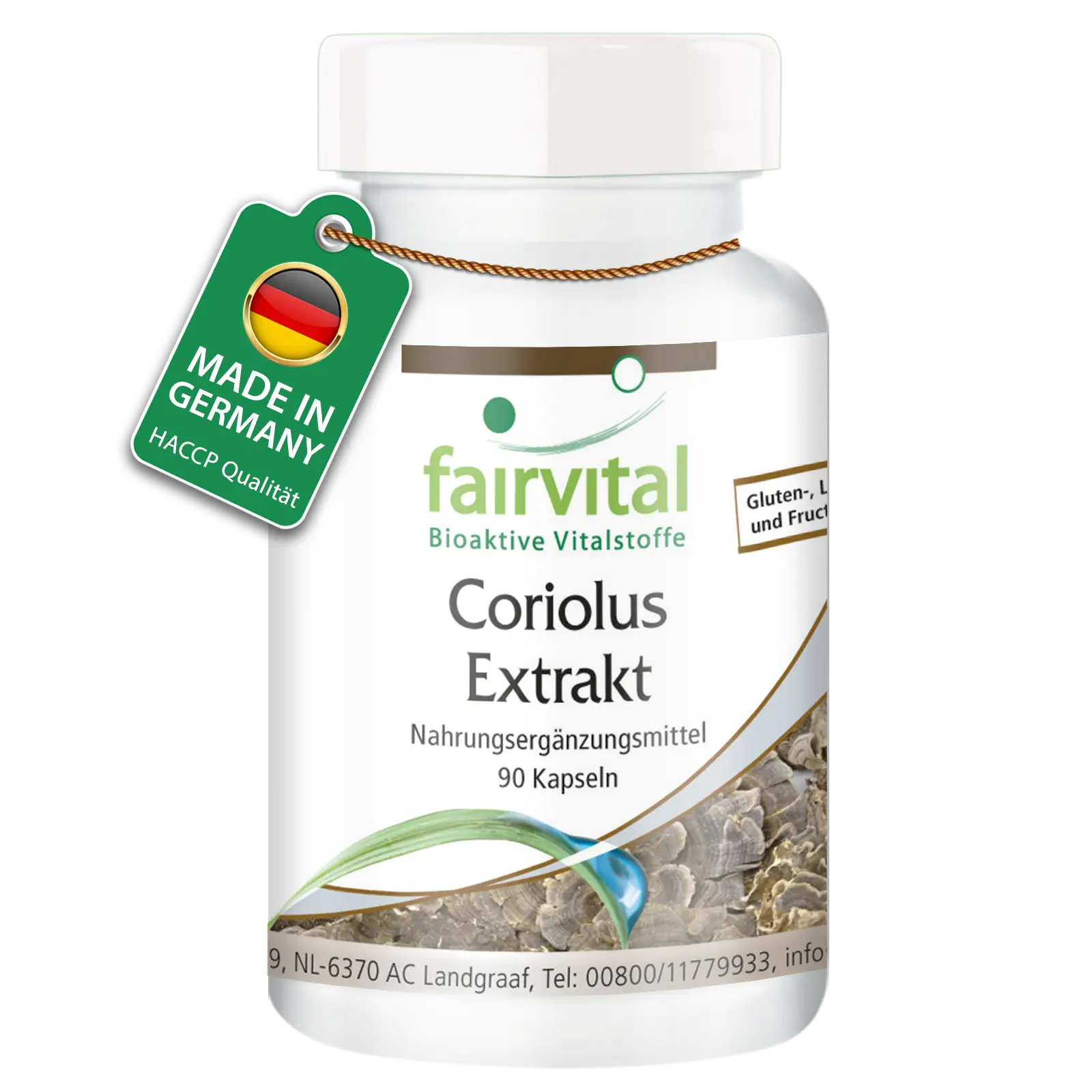 Coriolus Extrakt | Fairvital