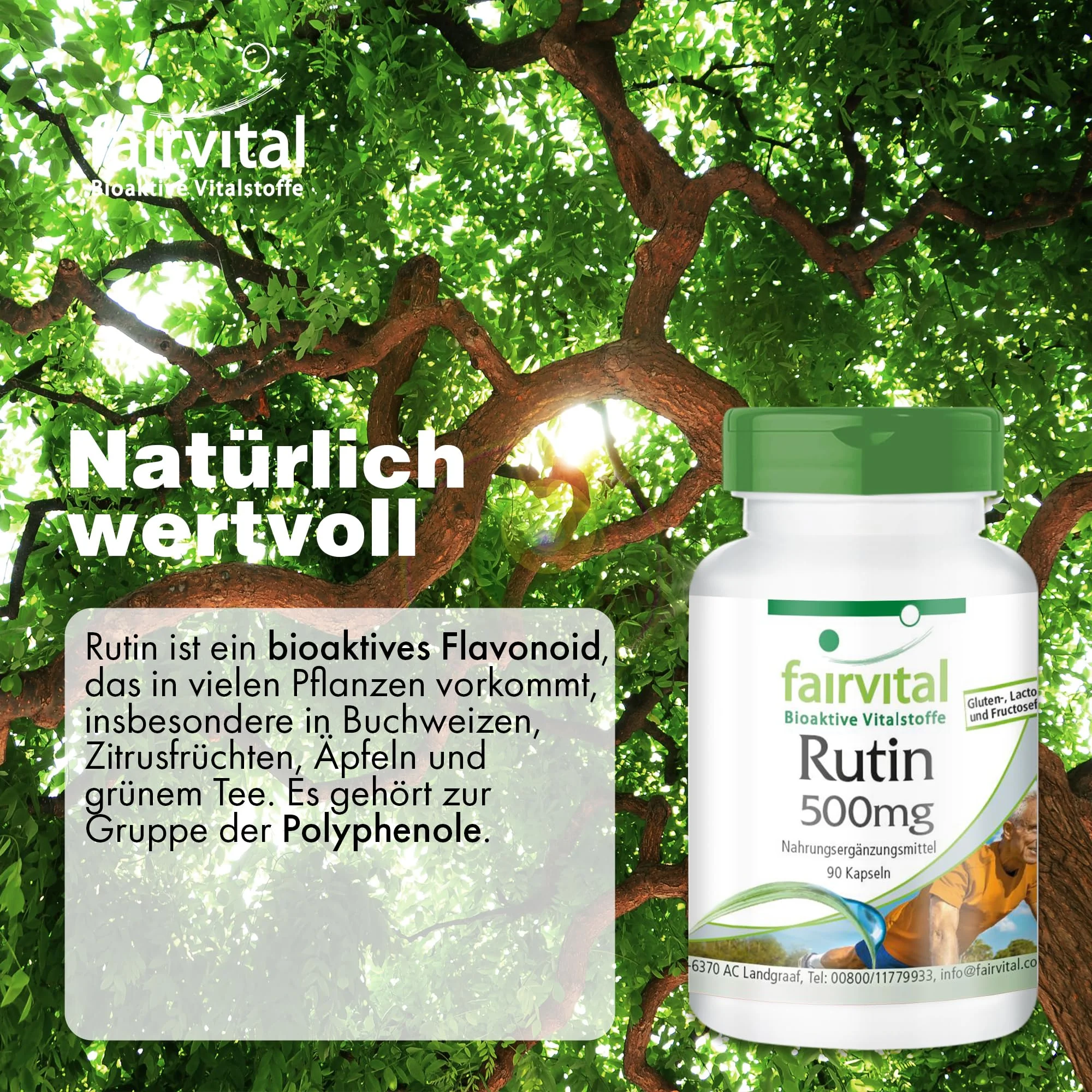 Rutin 500mg - 90 Kapseln - Sophora japonica - Hochdosiert und Vegan | Fairvital