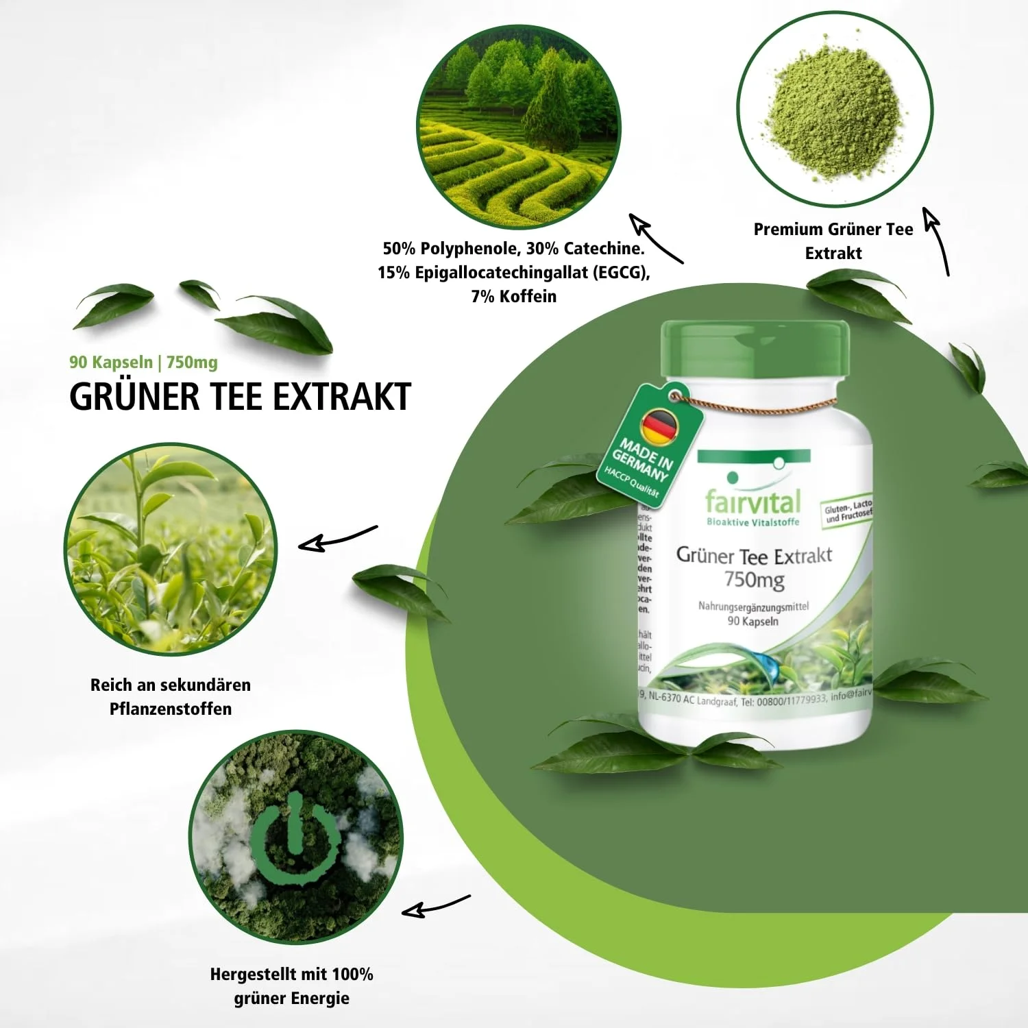 Grüner Kaffee Extrakt 500mg - 90 Kapseln - Schluckfreundlich - Standardisiert auf 45% Chlorogensäure - Hochdosiert und Vegan | Fairvital