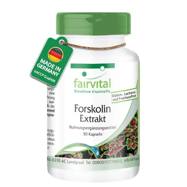 Forskolin Extrakt - 90 Kapseln - aus Coleus Forskohlii Extrakt - Hochdosiert und Vegan | Fairvital Forskolin Extrakt - 90 Kapseln - aus Coleus Forskohlii Extrakt - Hochdosiert und Vegan | Fairvital