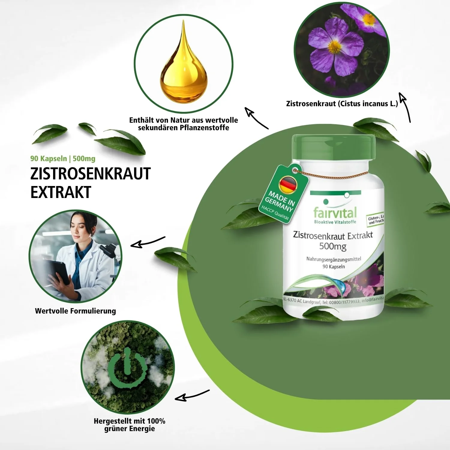 Zistrosenkraut Extrakt 500mg - 90 Kapseln - Cistus Incanus - Vegan | Fairvital