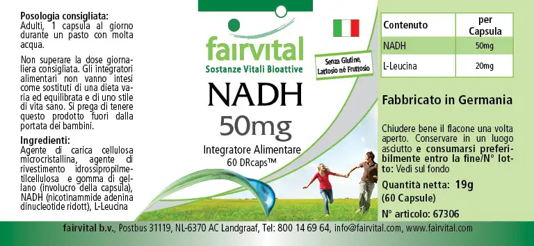 NADH 50mg - 60 Capsules - Vertraagde afgifte