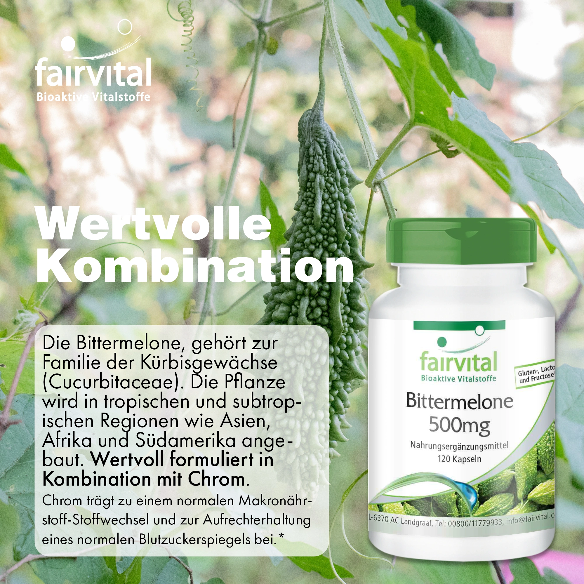 Bittermelone 500mg - mit Chrom - für Blutzuckerspiegel - 120 Kapseln - 150% abgedeckter Bedarf - Hochdosiert und Vegan | Fairvital